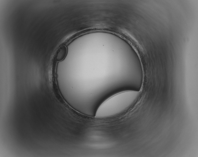 X0000102861315200808181017