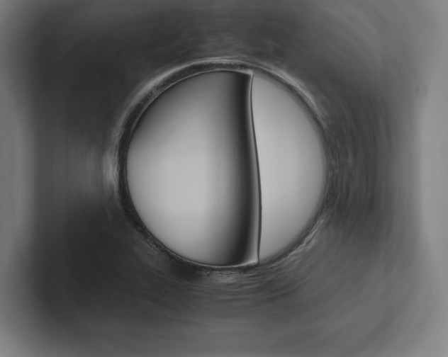 X0000102861319200808181017
