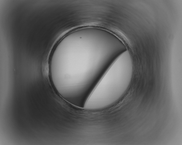 X0000102861324200808181017