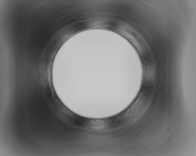 X0000102861338200808181017