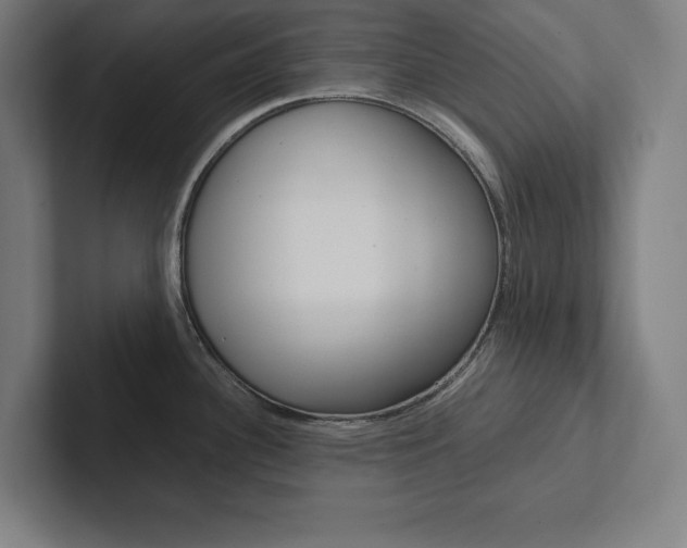 X0000102861340200808181017
