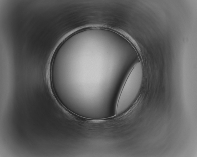 X0000102861343200808181017