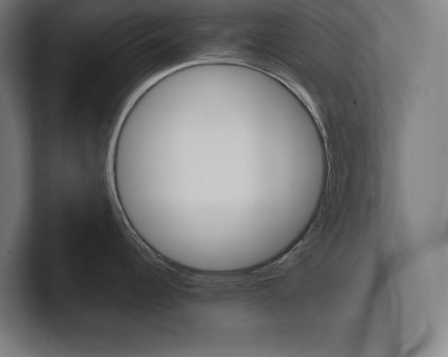 X0000102861344200808181017