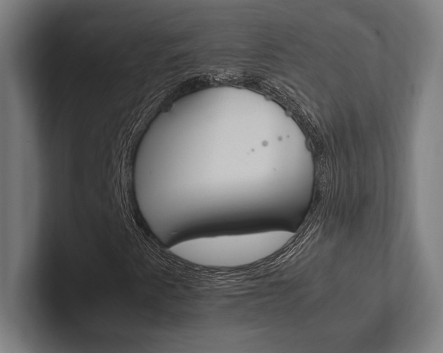 X0000102861345200808181017