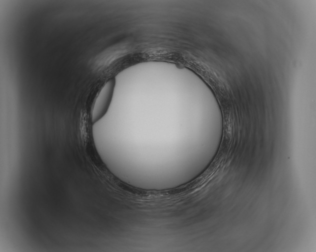 X0000102861346200808181017