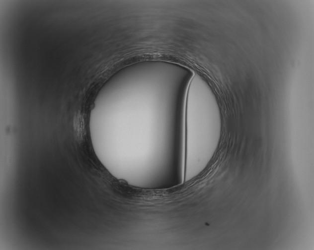 X0000102861347200808181017