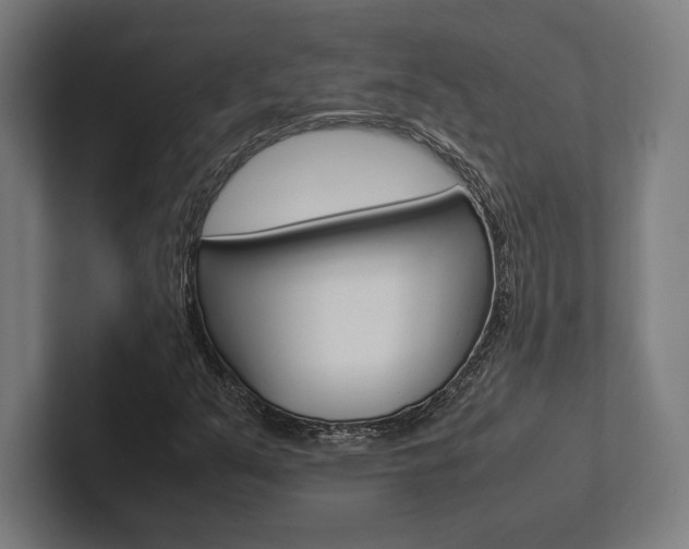 X0000102861351200808181017