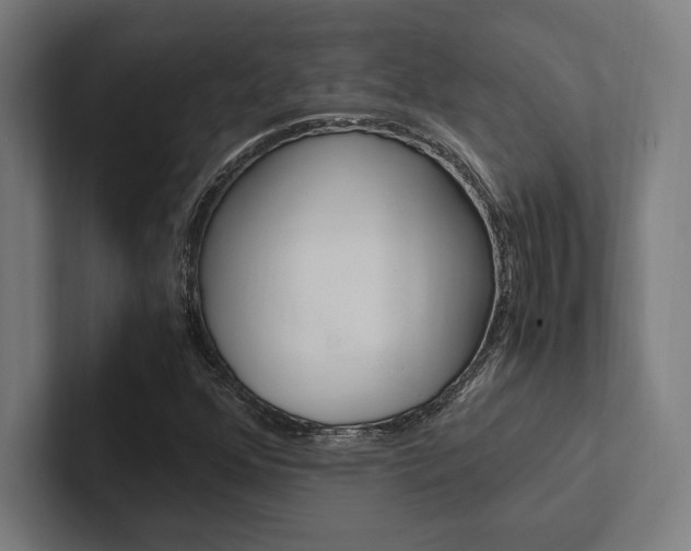 X0000102861352200808181017