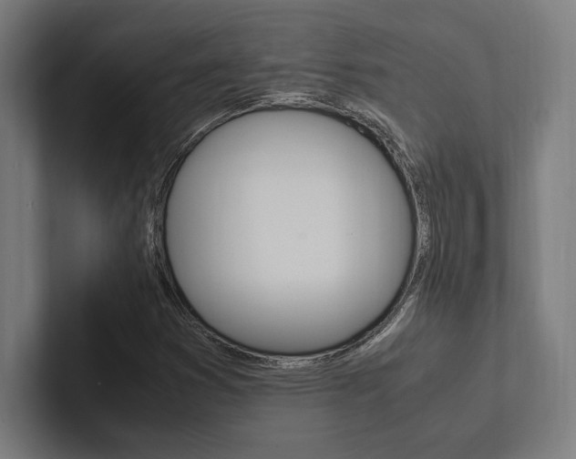X0000102861353200808181017