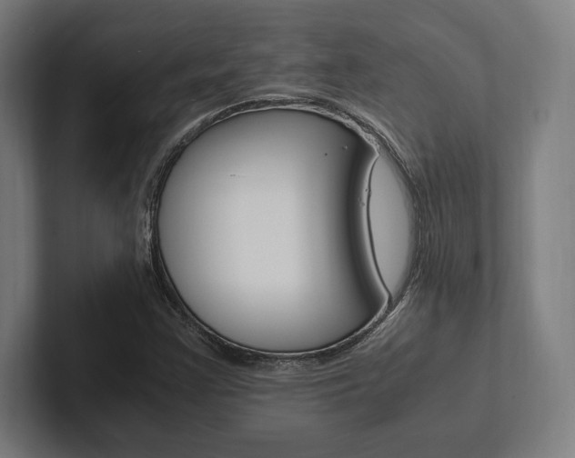 X0000102861355200808181017