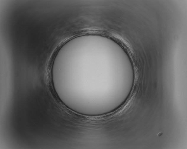 X0000102861357200808181017