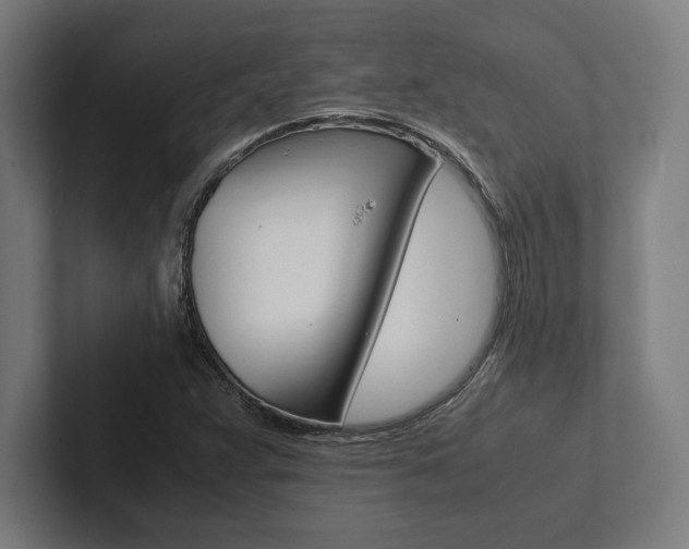 X0000102861359200808181017