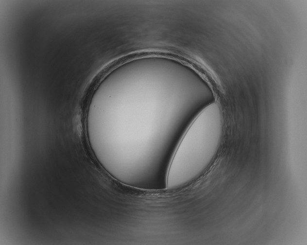 X0000102861360200808181017