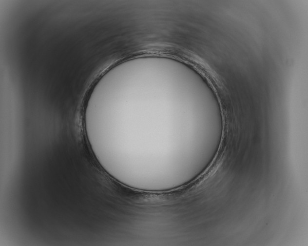 X0000102861362200808181017