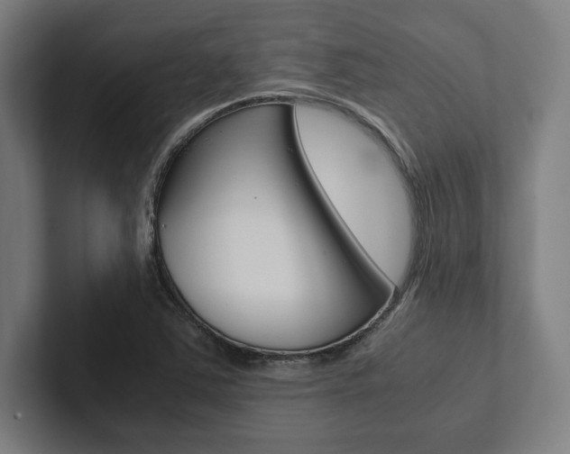 X0000102861363200808181017