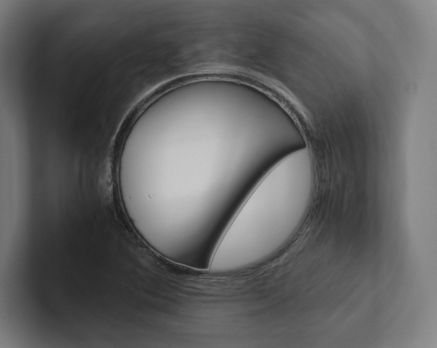 X0000102861364200808181017