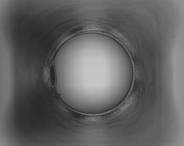 X0000102861369200808181017