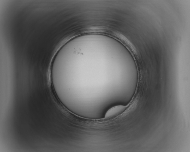 X0000102861370200808181017