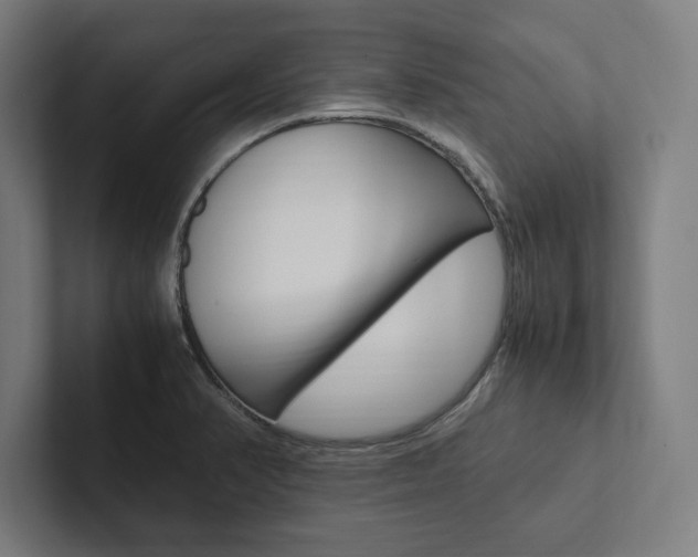 X0000102861374200808181016