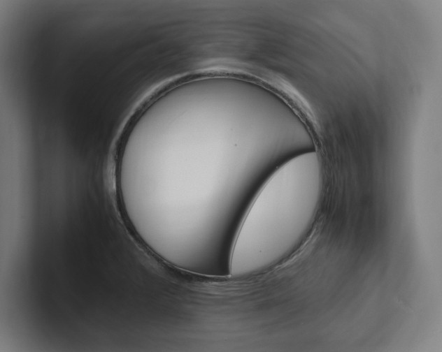 X0000102861376200808181016