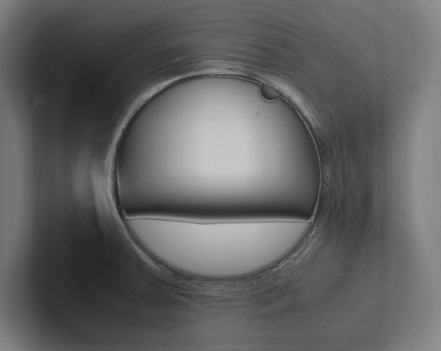 X0000102861379200808181016