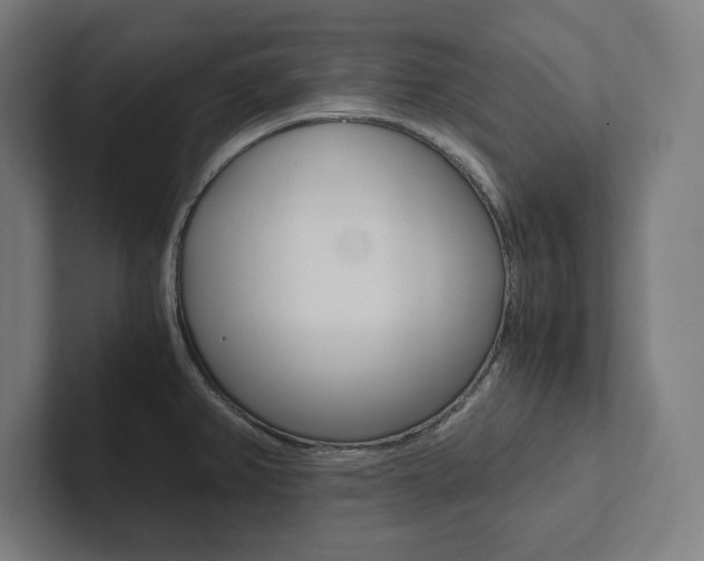 X0000102861382200808181016