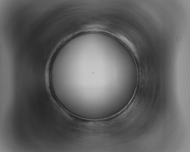 X0000102861384200808181016