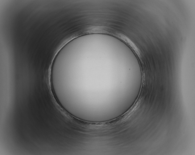 X0000102861386200808181016