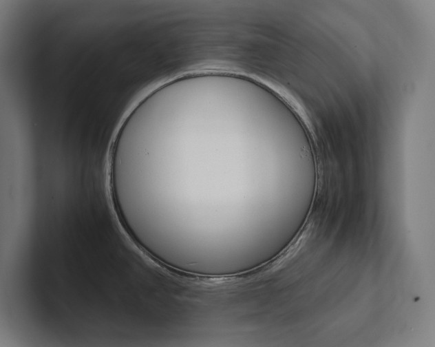 X0000102861390200808181016