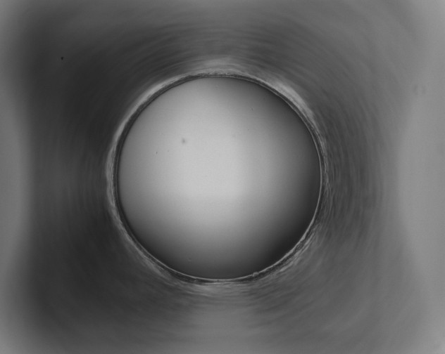 X0000102861392200808181016
