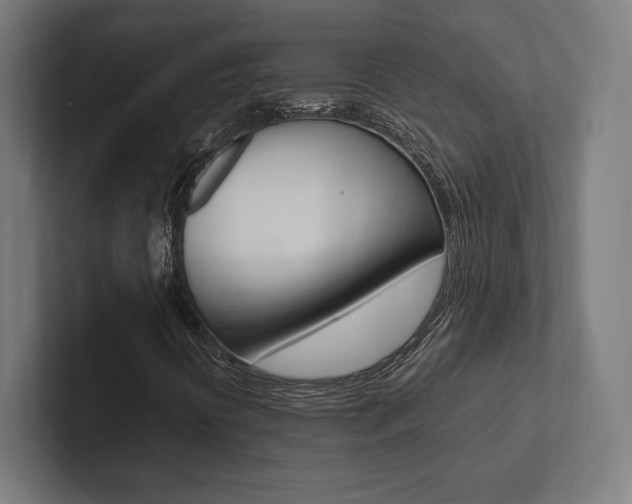 X0000102861394200808181016
