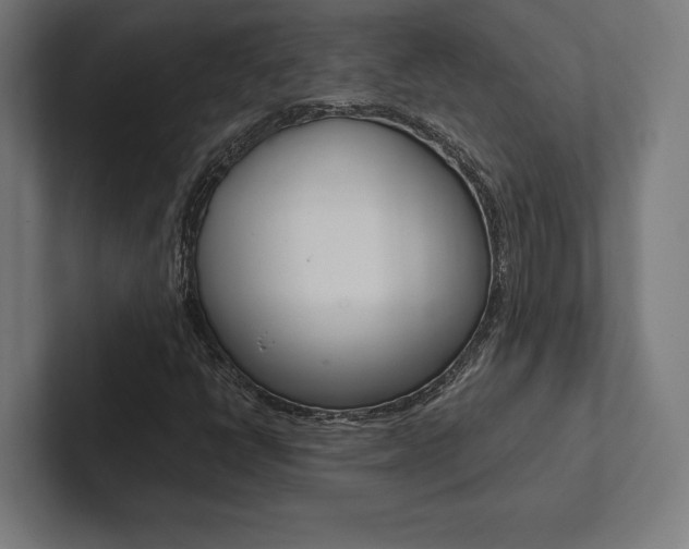 X0000102861398200808181016