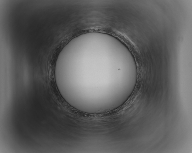 X0000102861399200808181016