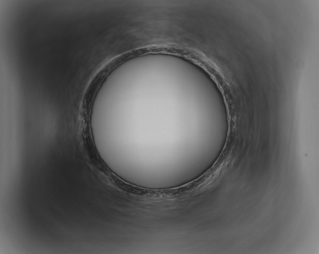 X0000102861400200808181016