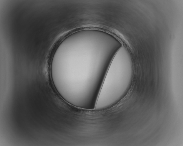 X0000102861408200808181016