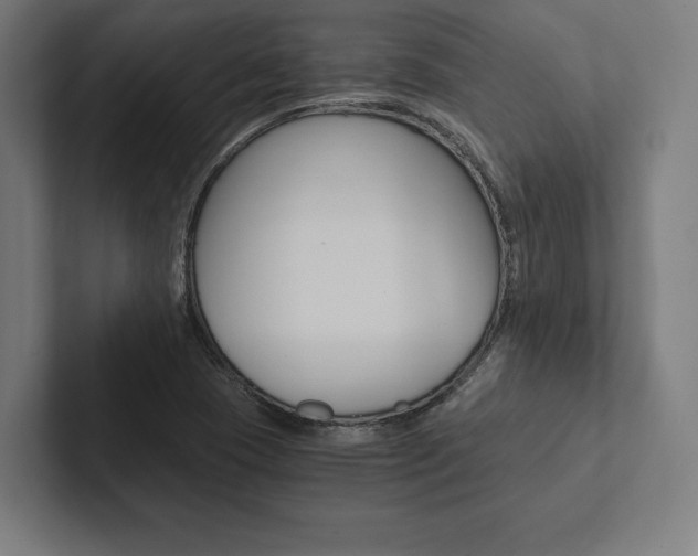 X0000102861409200808181016