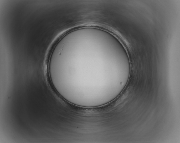 X0000102861416200808181016