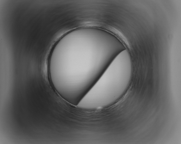 X0000102861419200808181016