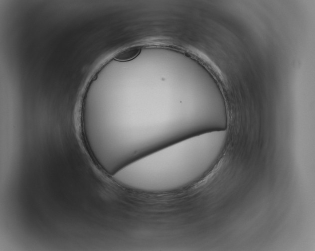 X0000102861421200808181016