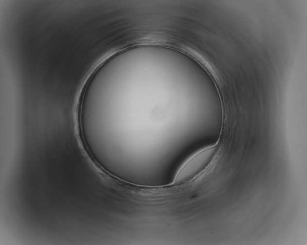 X0000102861434200808181016