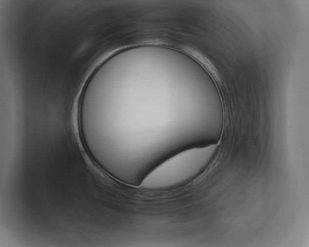 X0000102861439200808181016