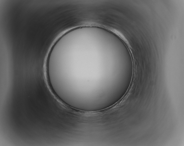 X0000102861440200808181016