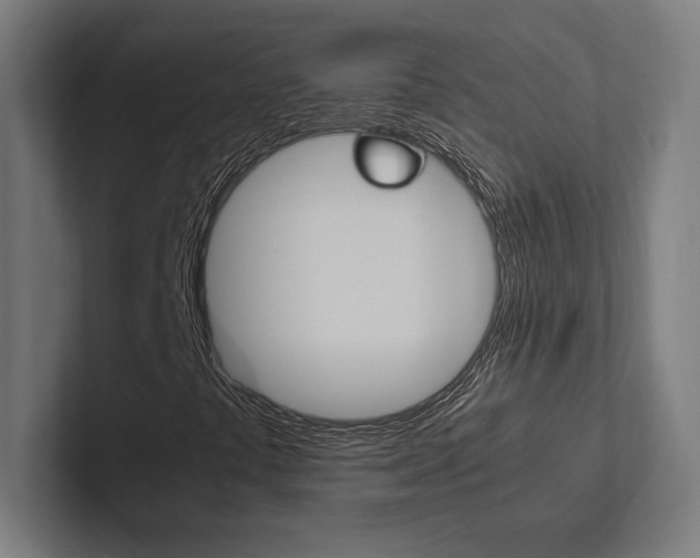 X0000102861441200808181016