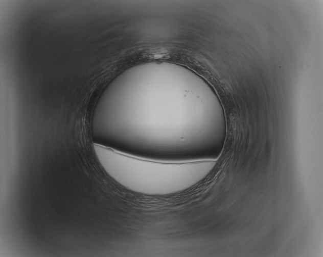 X0000102861442200808181016