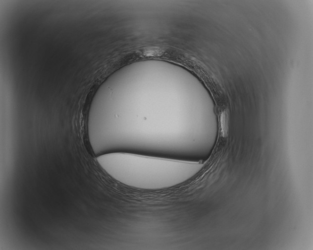 X0000102861443200808181016