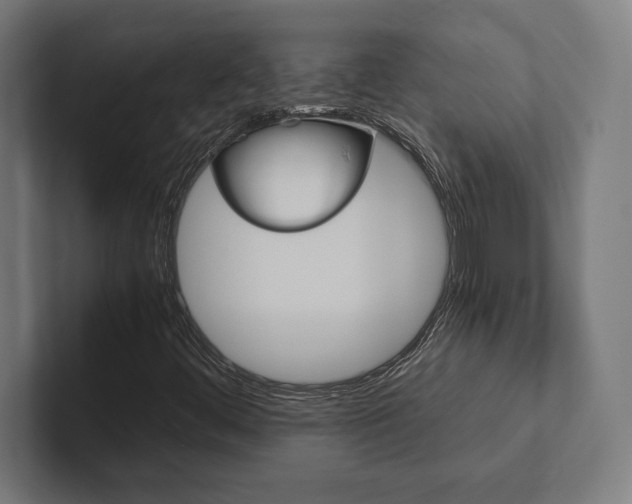 X0000102861444200808181016