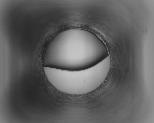 X0000102861447200808181015