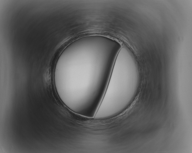 X0000102861450200808181015