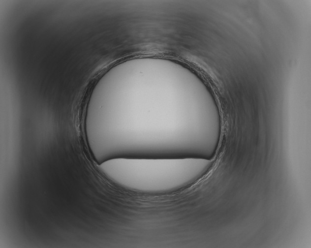 X0000102861451200808181015