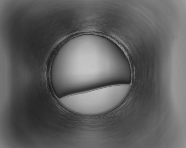 X0000102861452200808181015